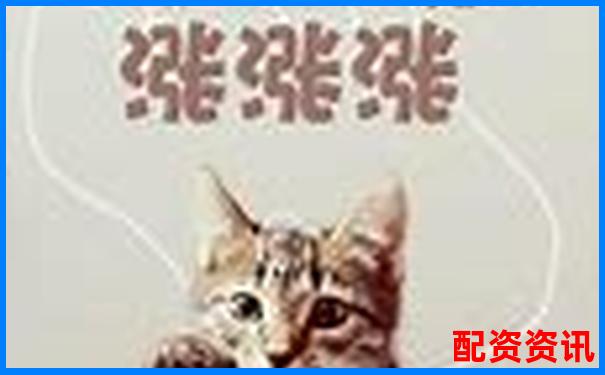 线上股票配资是干嘛的 新手入门攻略与操作技巧详解-炒股+杠杆什么意思
