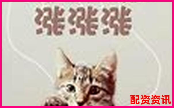 线上股票配资开户指南新手必看操作流程详解